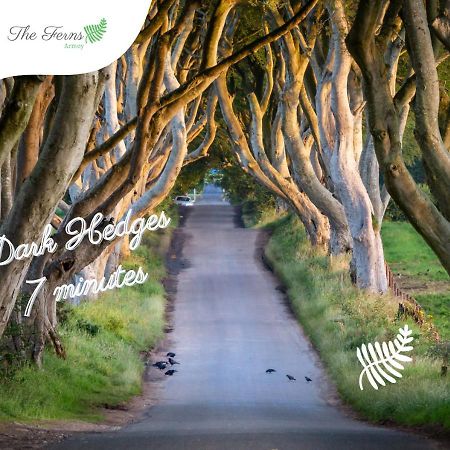 The Ferns-Ideal Base For Exploring The Causeway Coast Armoy Exterior photo